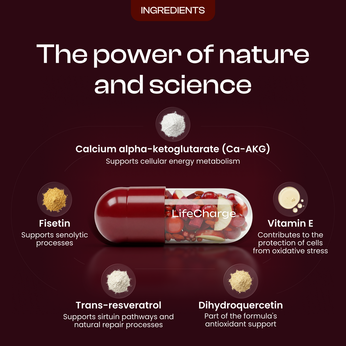 LifeCharge