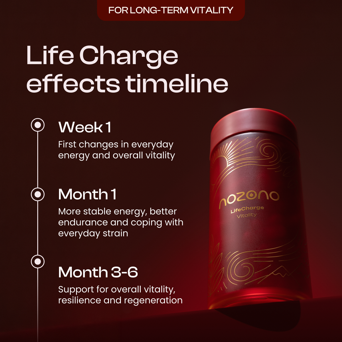 LifeCharge