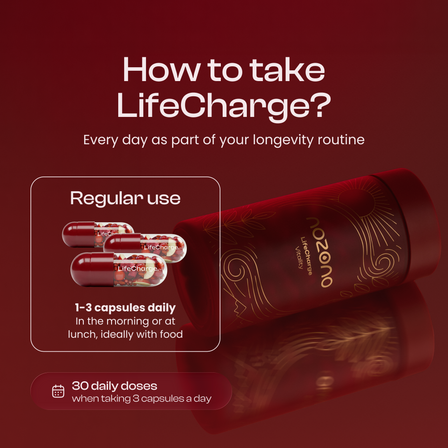 LifeCharge