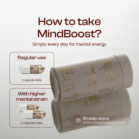 MindBoost