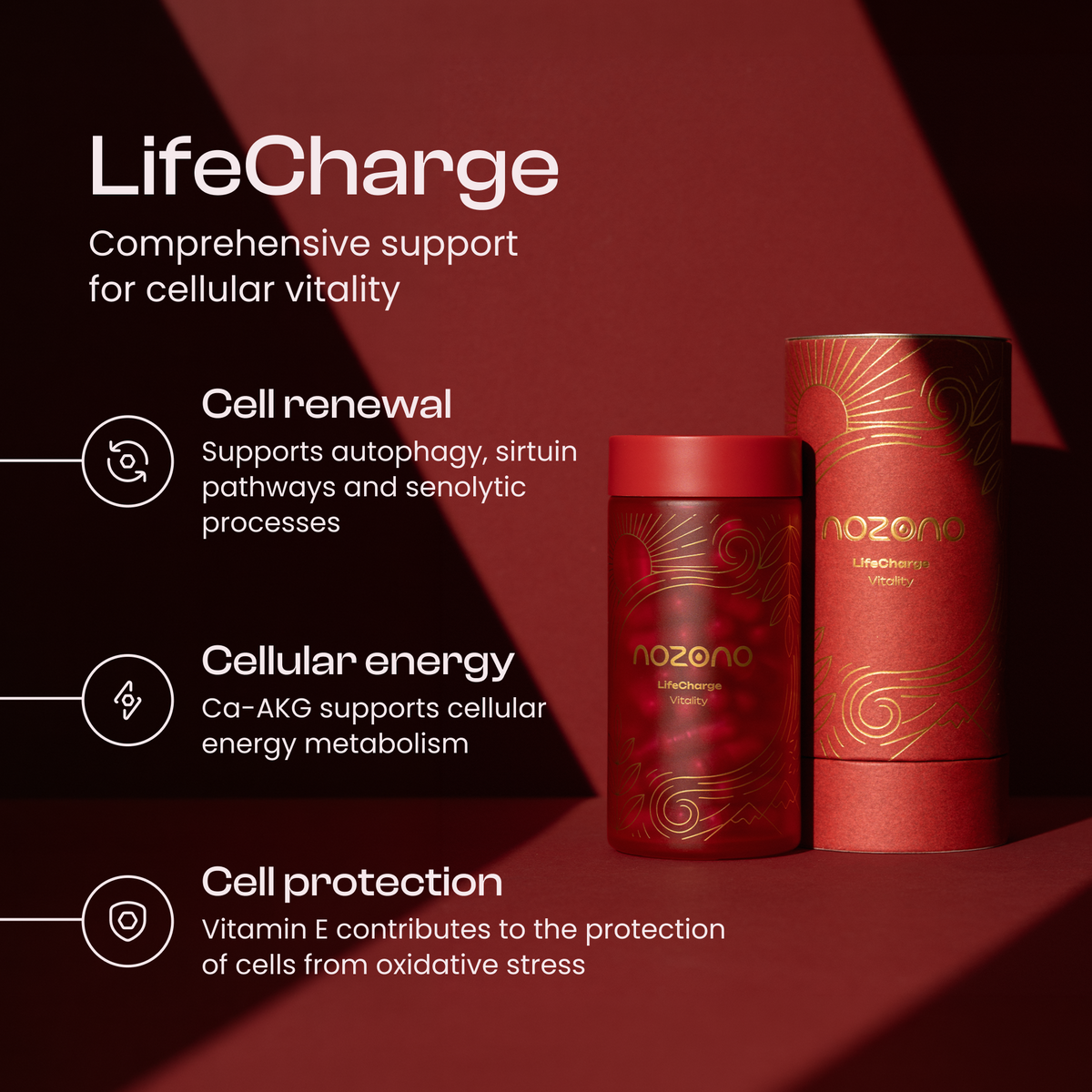 LifeCharge