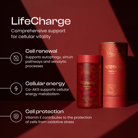 LifeCharge